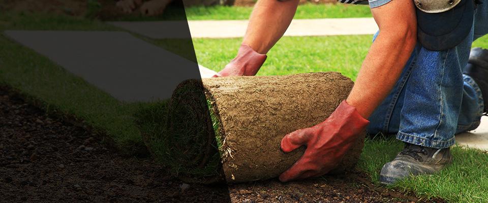 Wilsonville Landscapers